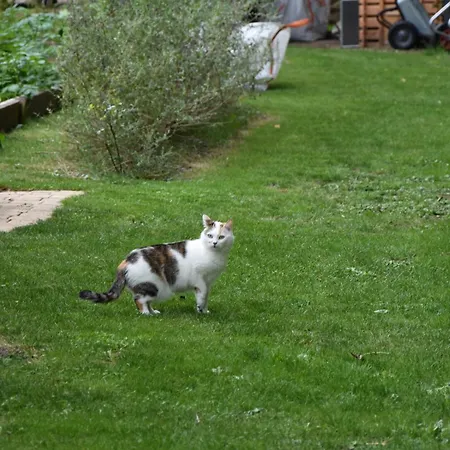 L'oree De Giverny Nocleg ze śniadaniem 3*