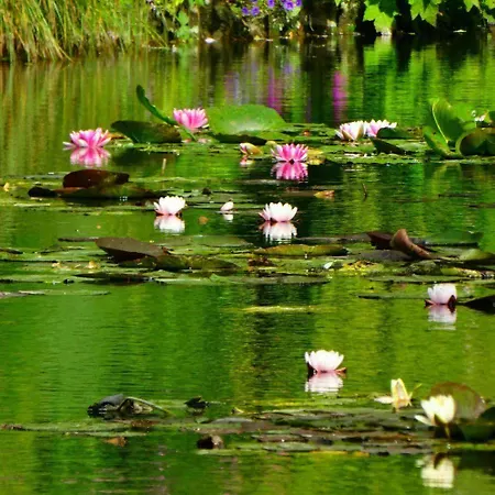 Bed & Breakfast L'orée De Giverny 3*