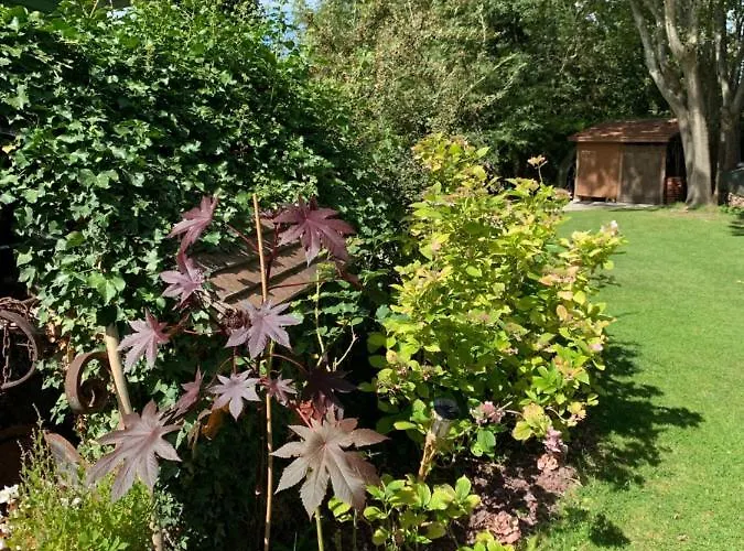 Bed & Breakfast L'oree De Giverny