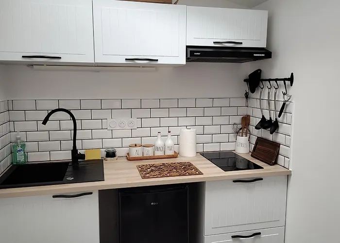 로레 드 지베흐니 3*