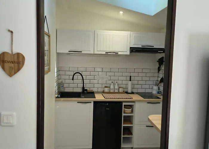 로레 드 지베흐니