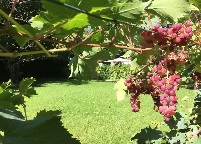 L'oree De Giverny Bed & Breakfast Limetz