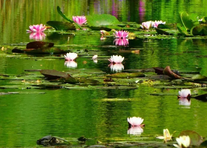 Nocleg ze śniadaniem L'oree De Giverny 3*